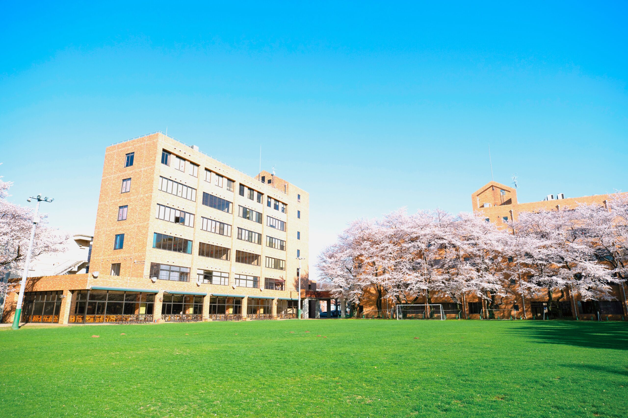 十文字学園女子大学 日本語教員養成課程:日本語教育を通した地域貢献と自己実現