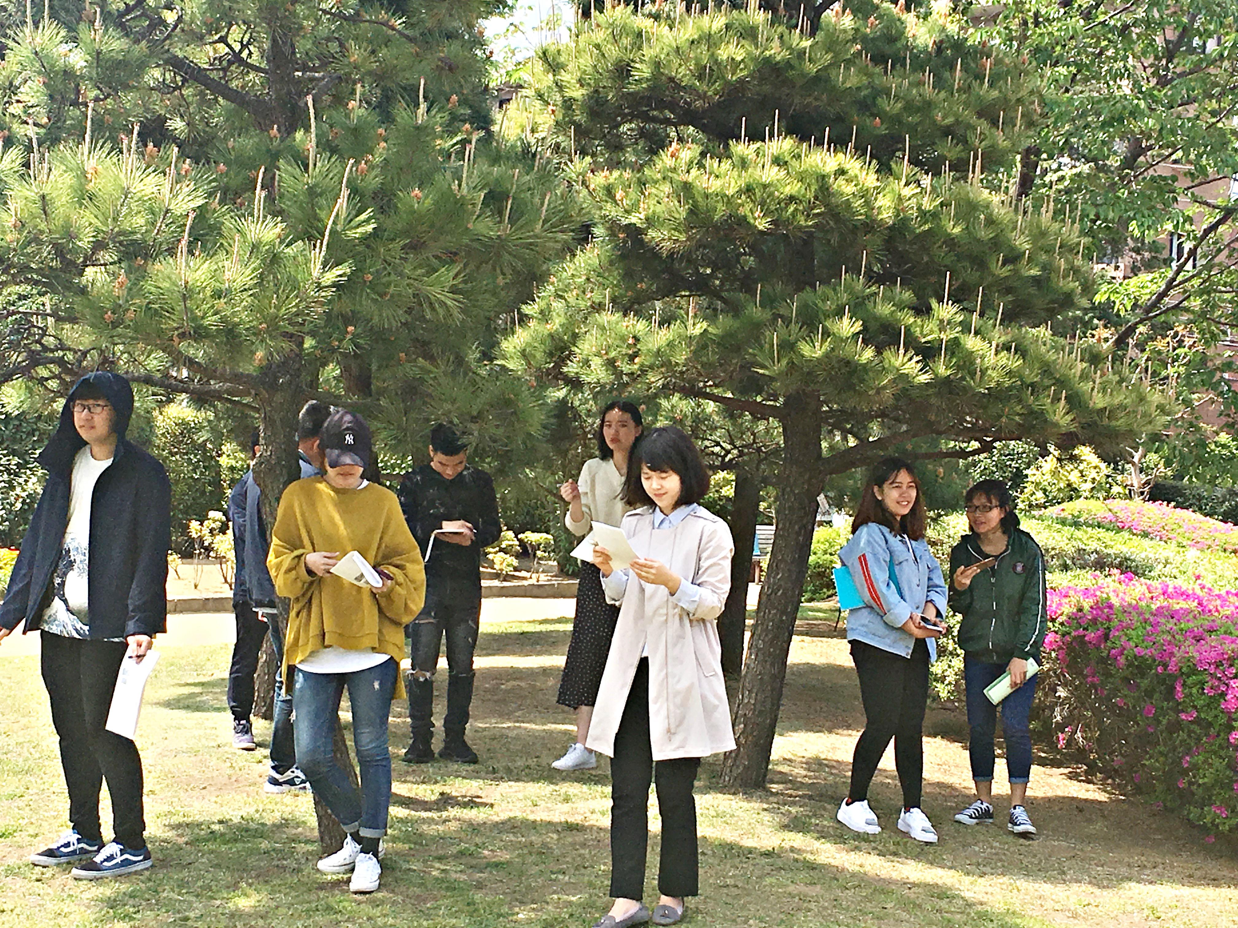 近所の公園へ。毎回素晴らしい作品が生まれています。