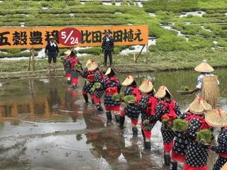 地域交流事業（花田植え）