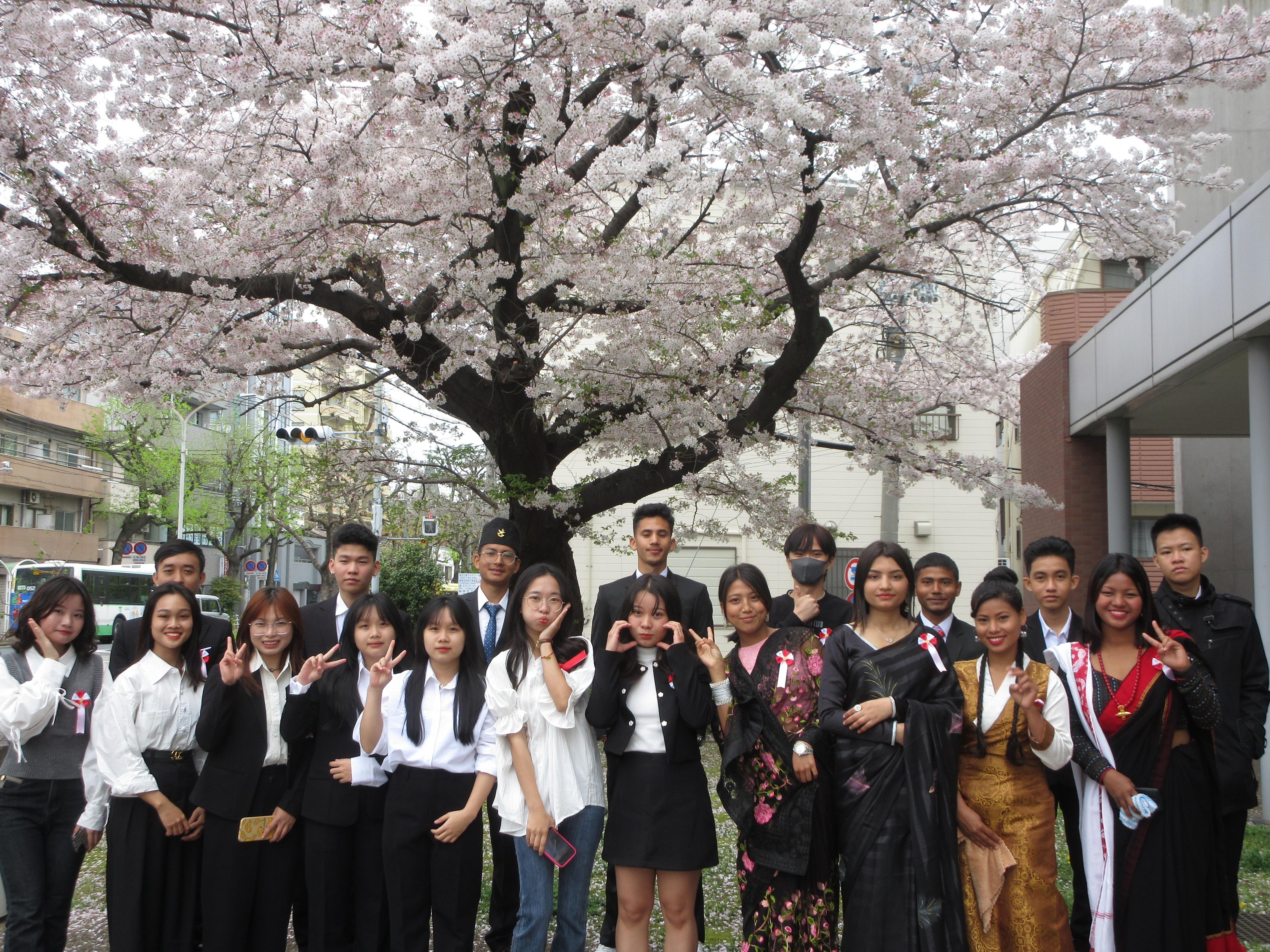 入学式後に桜の下で撮りました