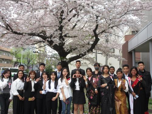 今年４月の入学式後に桜の下で撮りました