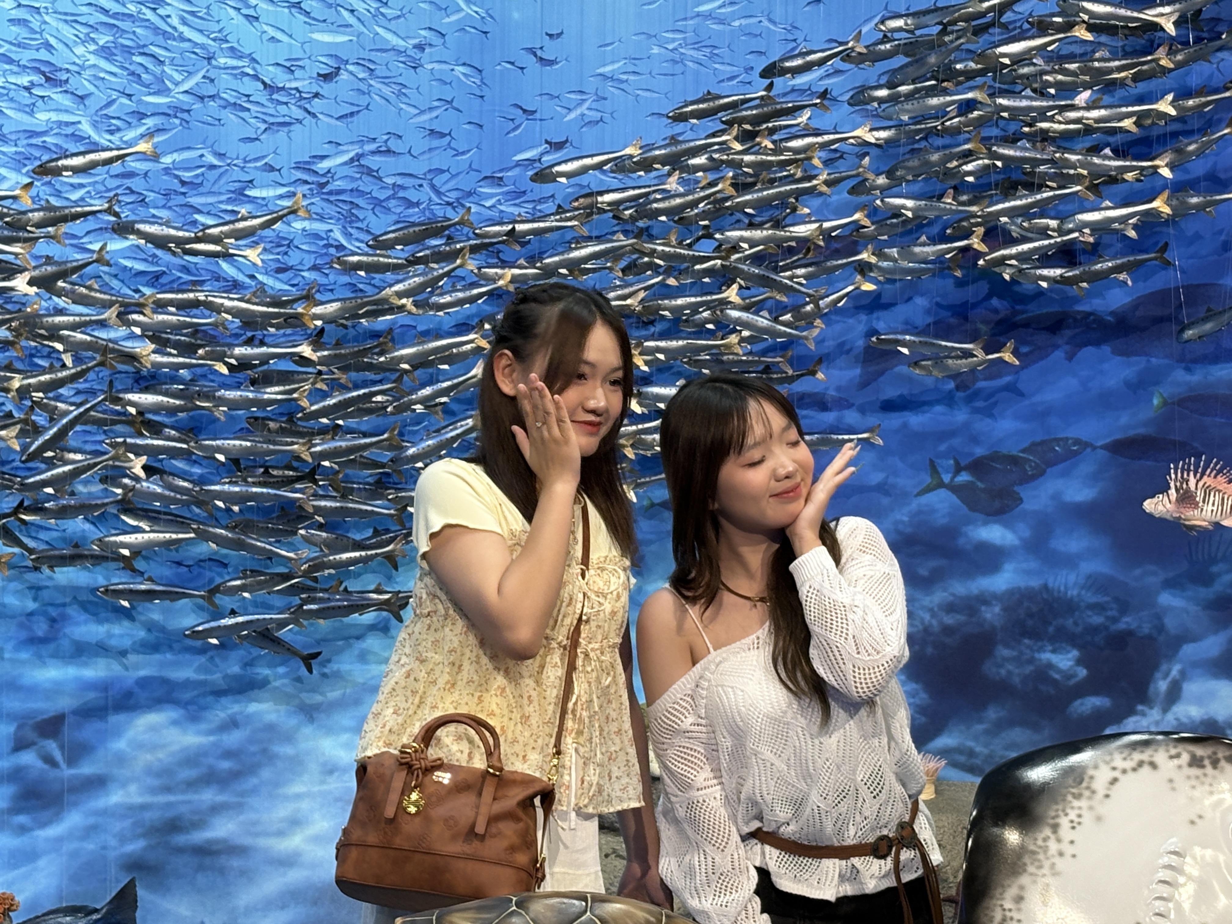 夏の江の島遠足