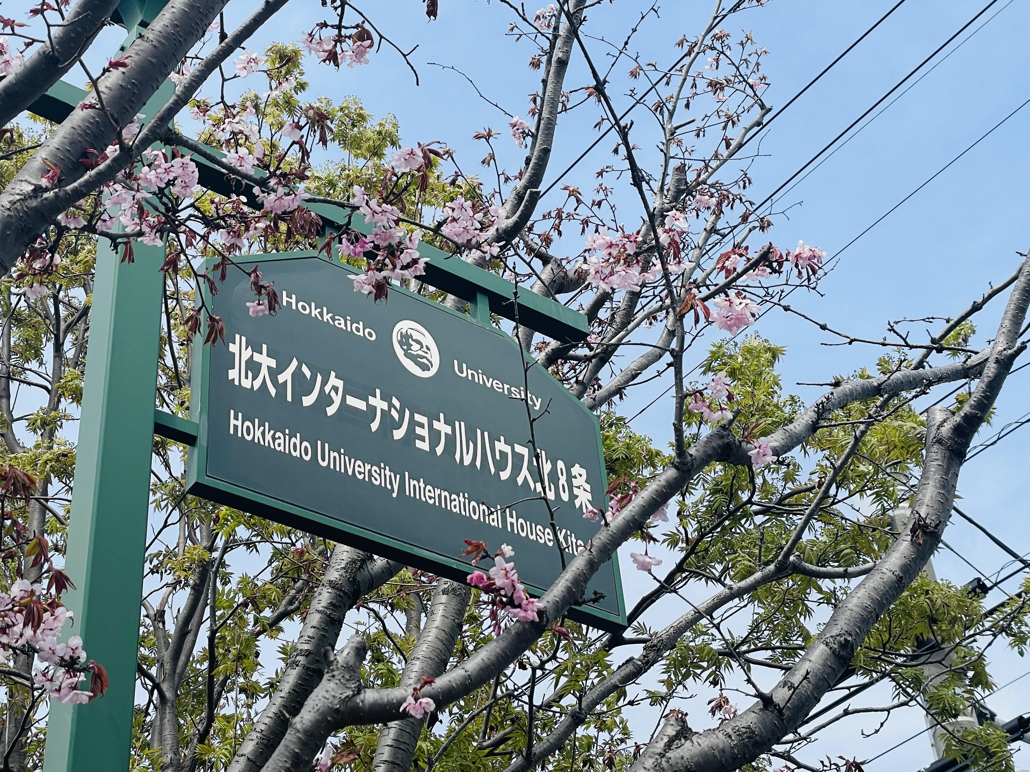 北海道大学の留学生寮483室の運営管理を一手に請け負っています。