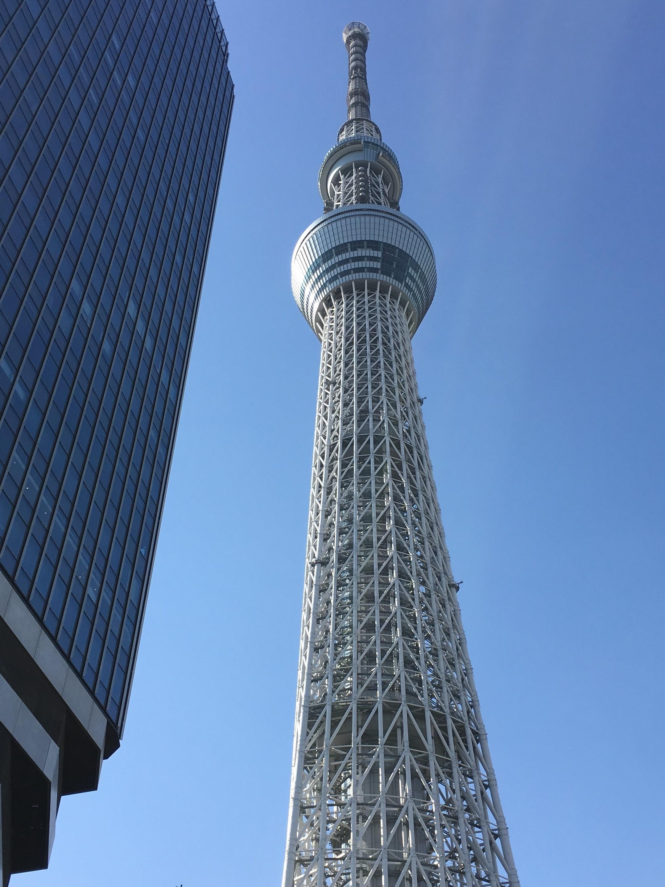 東京富士語学院はスカイツリー地区初の日本語学校です。